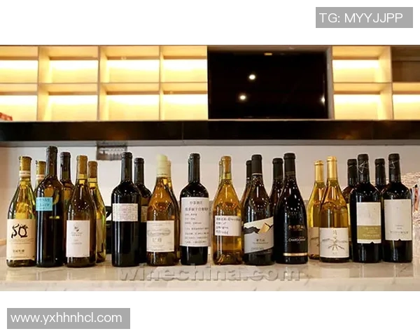 李泓澎:在科技创新与文化传承中探索未来的多元发展之路 李泓澎:在科技创新与文化传承中探索未来的多元发展之路